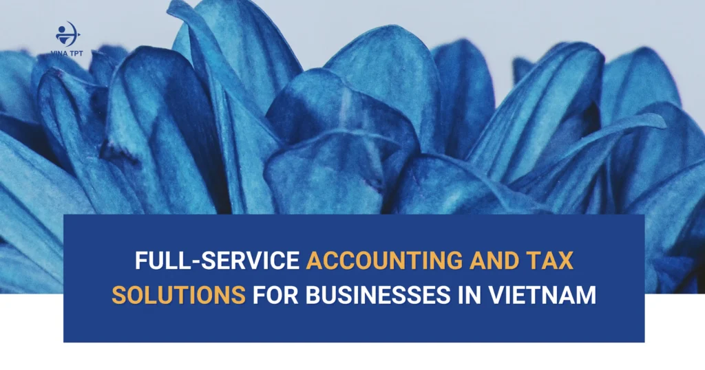Professional accounting services Vietnam for businesses