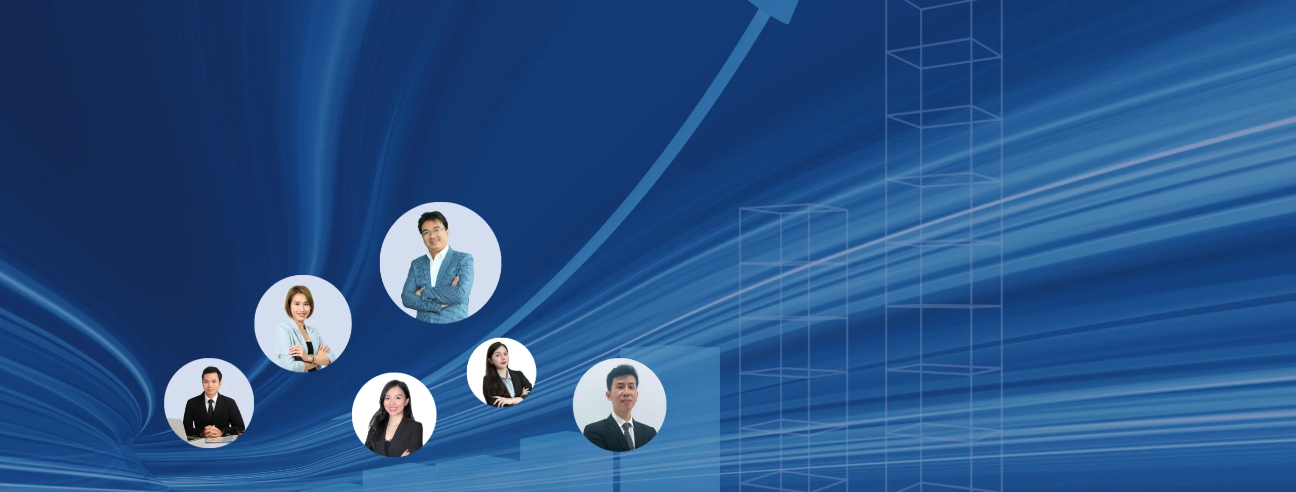 vina tpt tax consultant