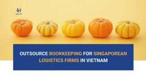 Outsource Bookkeeping & Accounting for Singaporean Logistics Firms in Vietnam-VTPT