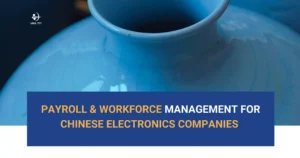 Vina TPT Payroll Service consulting outsource payroll for Chinese companies