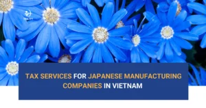 Tax Services for Japanese Manufacturing Companies in Vietnam - VTPT