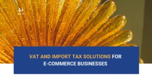 Vina TPT Tax Service - professional tax preparation services for e-commerce businesses in Vietnam