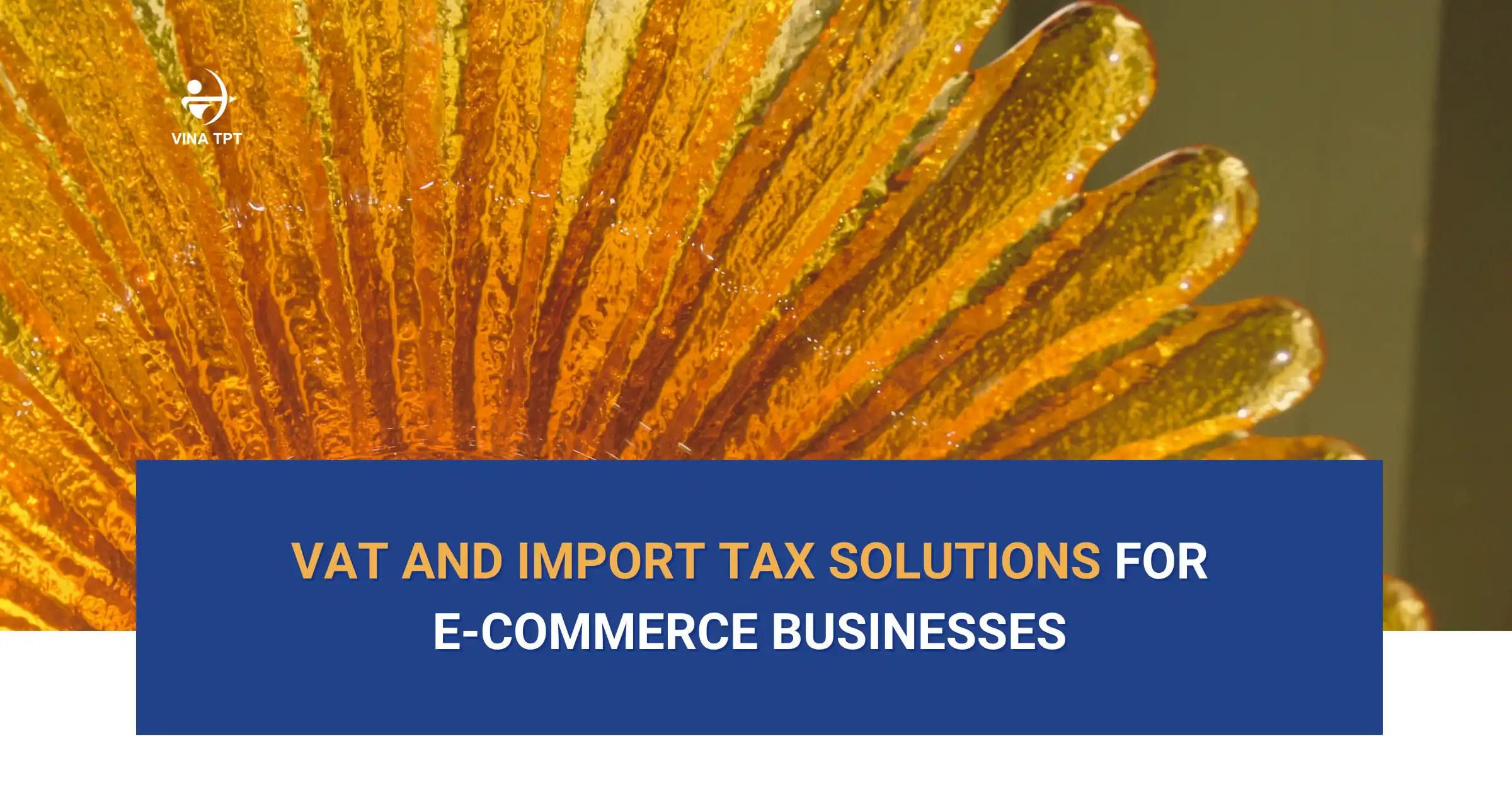 Vina TPT Tax Service - professional tax preparation services for e-commerce businesses in Vietnam
