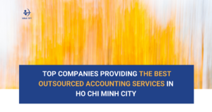 Top Companies Providing the Best Outsourced Accounting Services in hO CHI MINH CITY