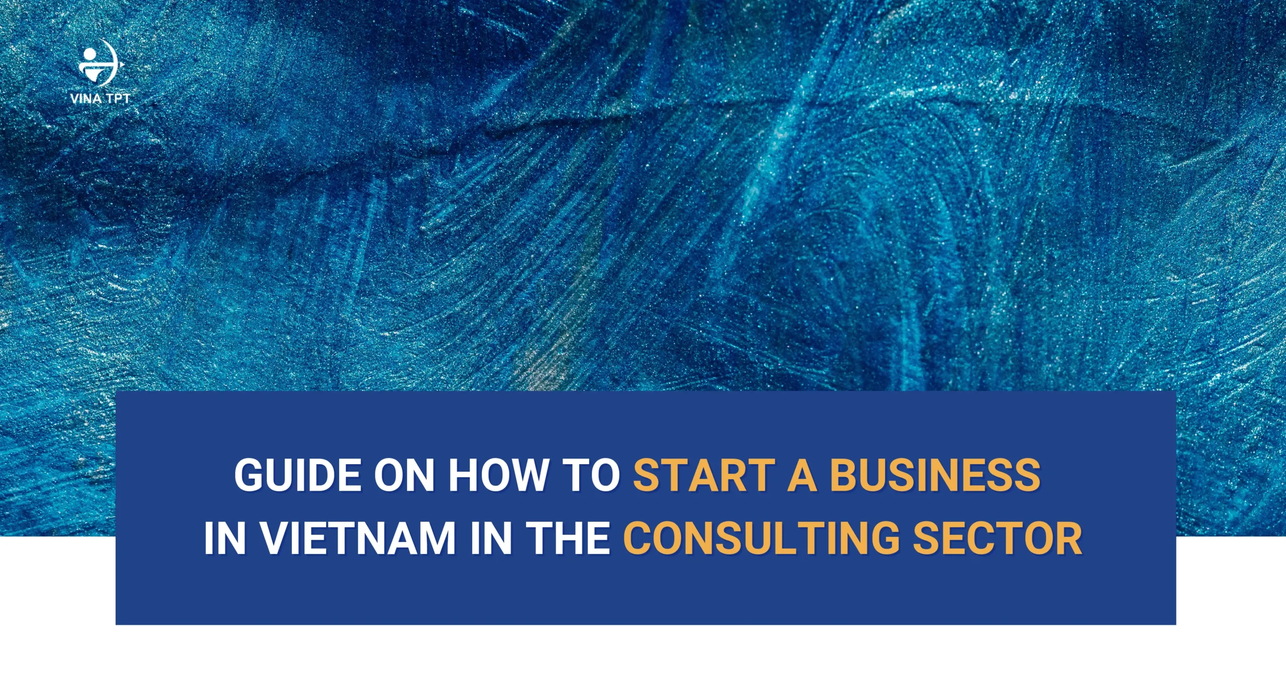 how-to-start-a-business-in-vietnam-consulting-sector-guide