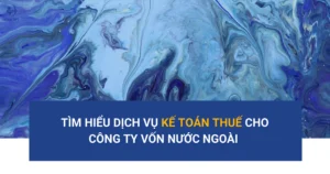 dich-vu-ke-toan-thue-cho-cong-ty-fdi-tai-viet-nam-giai-phap-toan-dien-va-an-toan