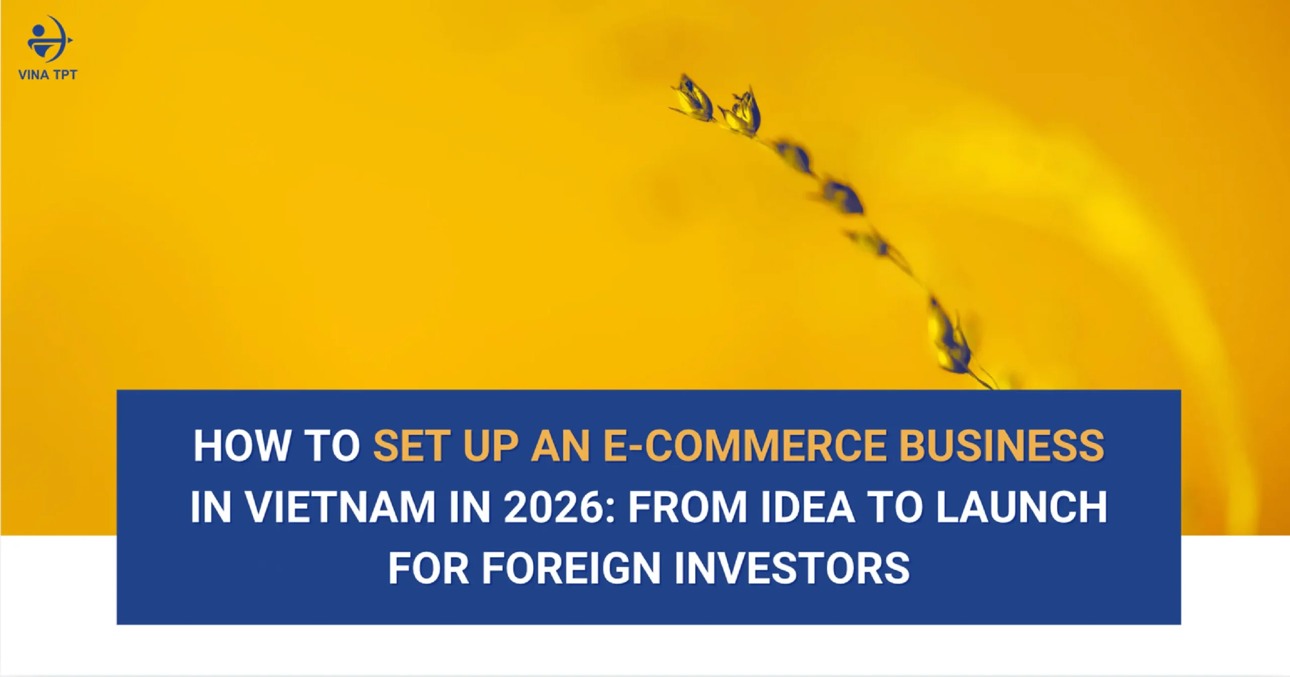 how-to-get-vat-refund-in-vietnam-a-practical-guide-for-foreign-investors-2026