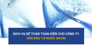 dich-vu-ke-toan-cho-cong-ty-nuoc-ngoai-giai-phap-toan-dien-tu-vina-tpt