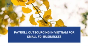 is-payroll-outsourcing-in-vietnam-worth-it-for-small-fdi-companies-with-5-employees