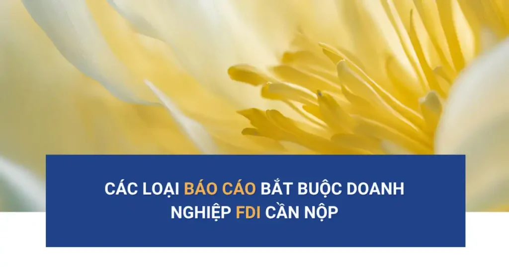 các loại báo cáo fdi