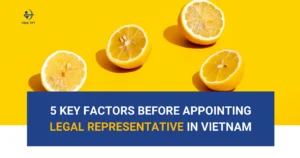 five-key-factors-before-appointing-a-legal-representative-in-vietnam