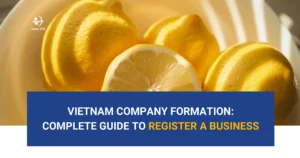 vietnam-company-formation-complete-guide-to-register-a-business-for-foreign-investors