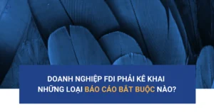 doanh-nghiep-fdi-phai-ke-khai-nhung-loai-bao-cao-bat-buoc-nao