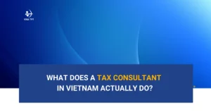 what-does-a-tax-consultant-in-vietnam-actually-do