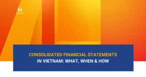 consolidated-financial-statements-vietnam